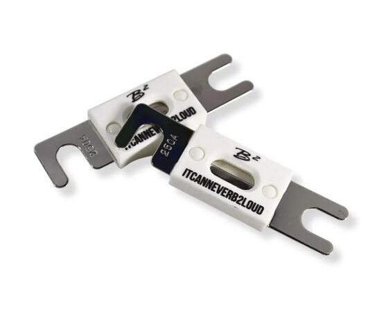 Ceramic Fuse Pair ANL-250